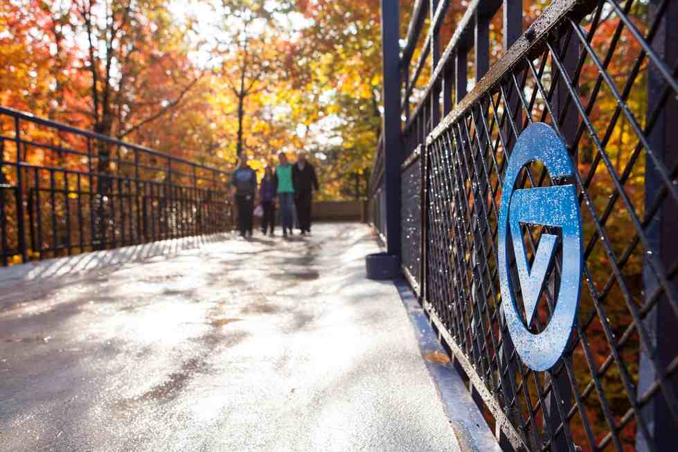 Little mac bridge on the Allendale campus in fall